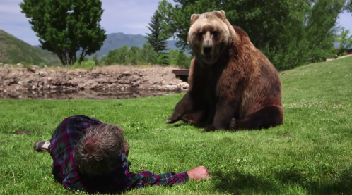 A bear stands over a man lying on the grass, with trees and mountains in the background. The scene appears tense.